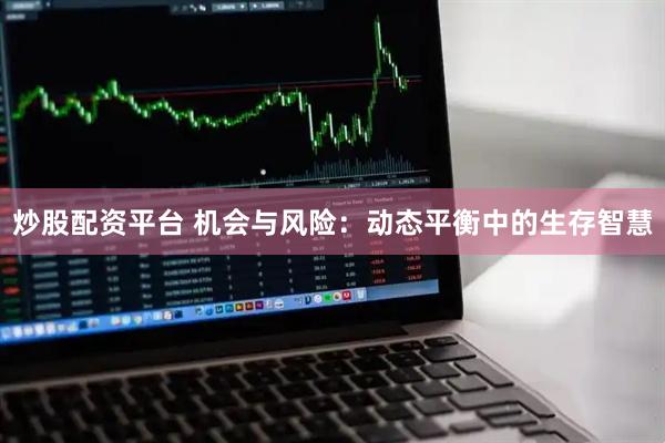 炒股配资平台 机会与风险：动态平衡中的生存智慧