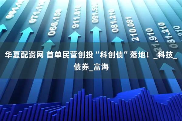 华夏配资网 首单民营创投“科创债”落地！_科技_债券_富海